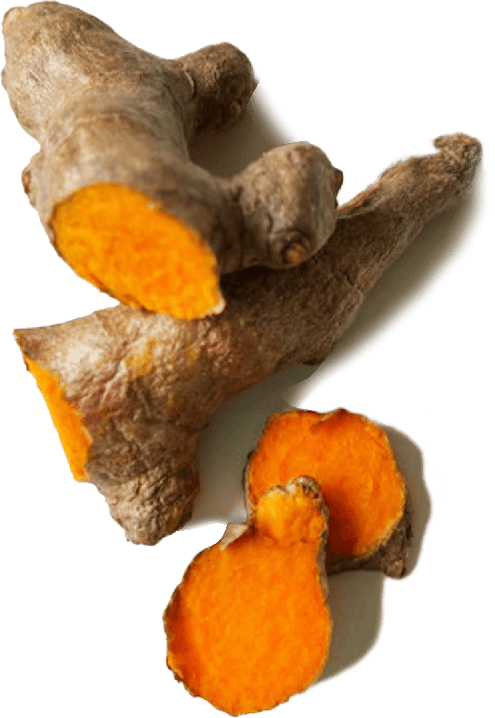 Kunyit (kurkuma) wortel